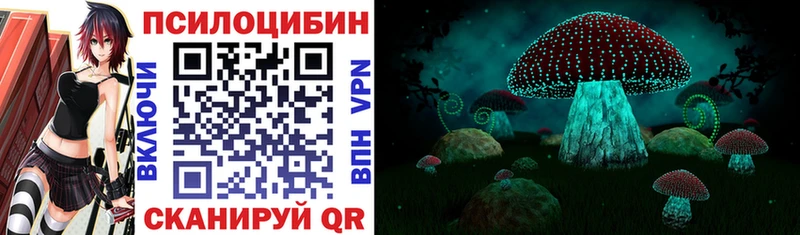 Купить где  Нелидово  Псилоцибиновые грибы мухоморы 