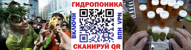 Шишки марихуана план  Купить закладки  Нелидово 